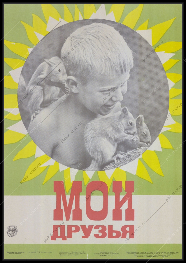 Оригинальный советский плакат общество охраны природы защита белок 1970