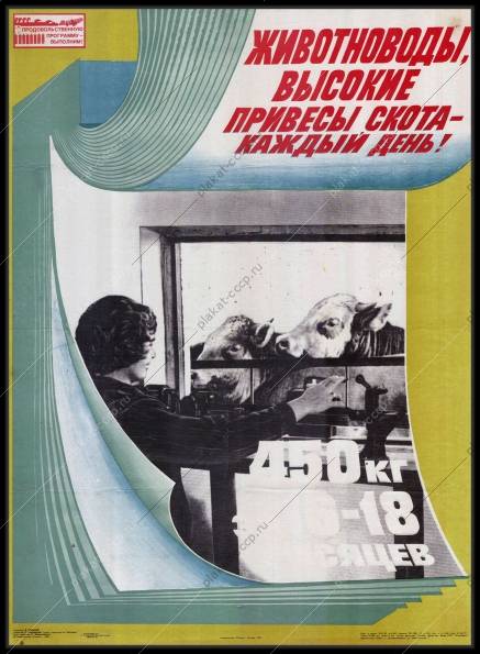 Оригинальный плакат СССР животноводы высокие привесы скота каждый день животноводство