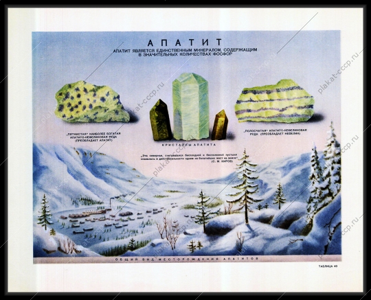 Оригинальный плакат СССР апатит апатито-нефелиновая руда месторождение апатитов 1955
