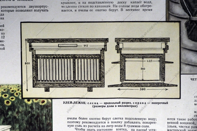 Плакат СССР А.В.Полякова, Организация пасеки в колхозе, 1956 год