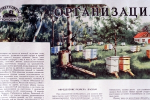 Плакат СССР А.В.Полякова, Организация пасеки в колхозе, 1956 год