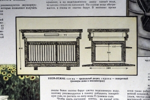 Плакат СССР А.В.Полякова, Организация пасеки в колхозе, 1956 год