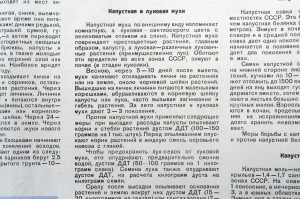 Плакат СССР, А.Ш.Карамин, Боритесь с вредителями овощных культур, 1955 год