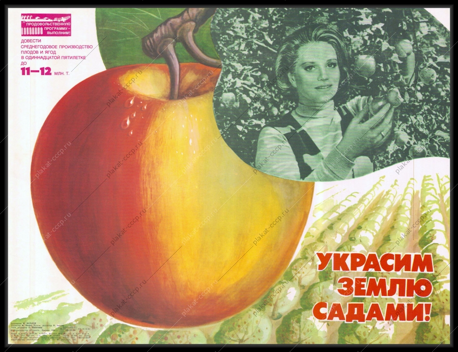 Оригинальный советский плакат яблочный сад сбор и увеличение производства яблок плодов фруктов в 11 пятилетке яблоневый сад яблоки