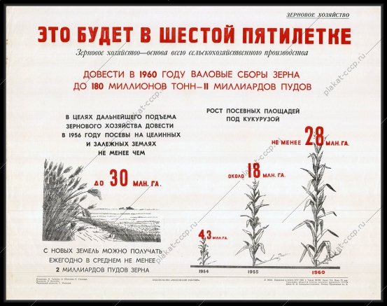 Оригинальный плакат СССР сбор зерна кукурузы сельскохозяйственное производство зерновое хозяйство пятилетка 1956